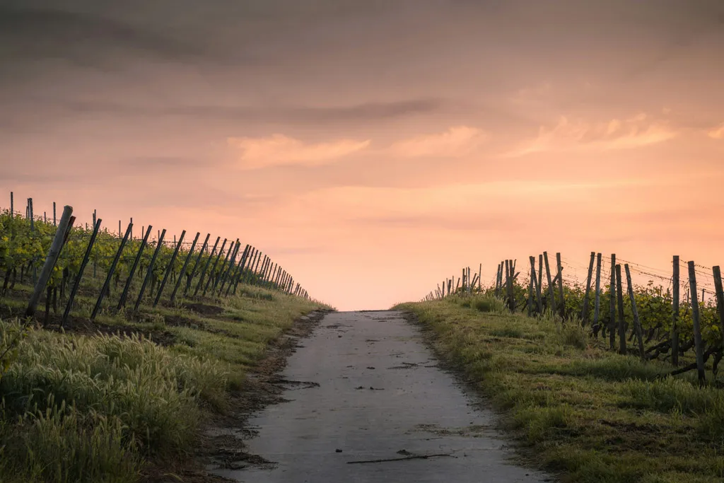 Path to new life